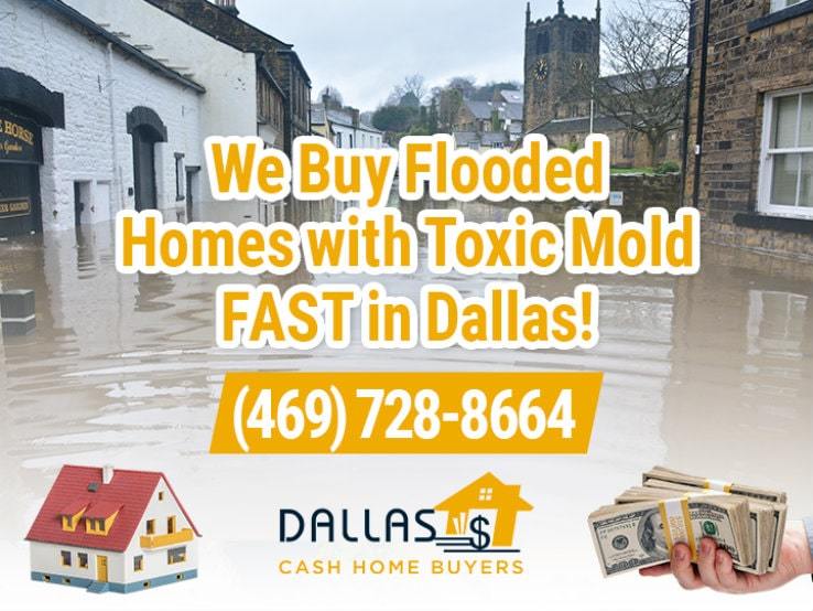 dallas water damage and mold